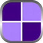 Brain Puzzle icon