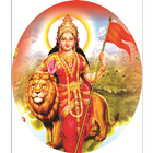 RSS Shakha icône
