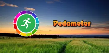 Pedometer