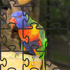 Image Puzzle Game icône