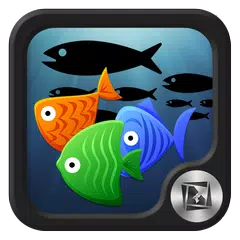 TSF Shell Pendant - Fish APK download