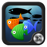 TSF Shell Pendant - Fish