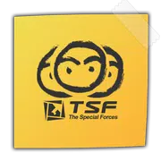 TSF Notepad Widget