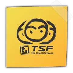 TSF Notepad Widget