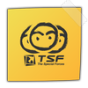 TSF Notepad Widget 圖標