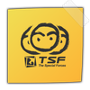 TSF Notepad Widget icon