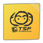TSF Notepad Widget icon