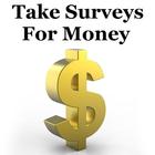 Take Surveys For Money 图标