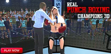 真正的打拳擊冠軍3D：MMA格鬥2k18