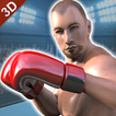 Véritable champion de boxe de boxe 3D: MMA Fightin