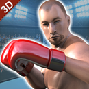 真正的打拳击冠军3D：MMA格斗2k18 APK