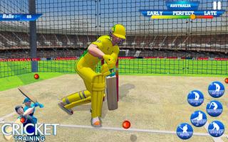 T20 Kricket Ausbildung : Netz Trainieren Kricket Screenshot 3