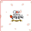 얌얌모찌(딸기모찌충장점) APK