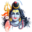 Shiv Aarti, Repeat Option