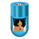 Battery Diary Widget APK