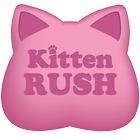 Kitten Rush The Cat Jumper icône