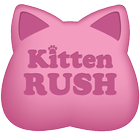 ikon Kitten Rush The Cat Jumper