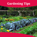 Gardening Tips APK