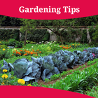 Gardening Tips biểu tượng