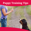 Puppy Training Tips APK