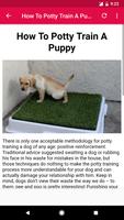 Puppy Training Tips screenshot 3