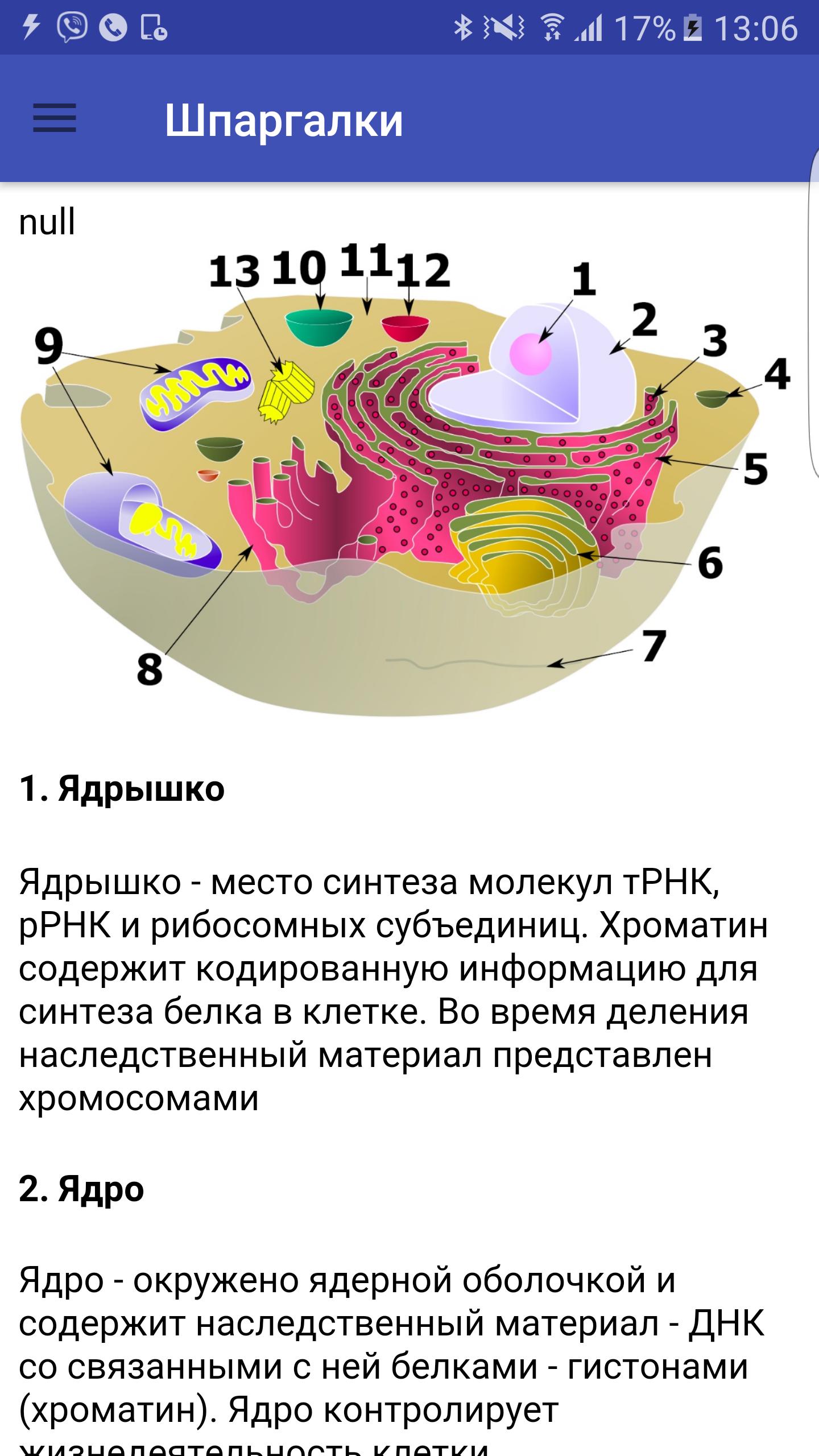 Шпаргалки биология 2023