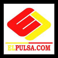 EL Pulsa 포스터