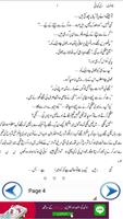 "Hamari Kahani" Urdu Novel imagem de tela 1