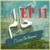 Haalim 11 Urdu novel Nimrah Ahmed APK