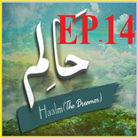 Haalim 14 Nemrah Ahmed Urdu Novel