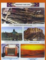 Pictures of holy Places of Prophet capture d'écran 3