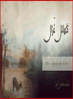 Haalim 2 urdu novel Nemrah capture d'écran 3