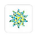 The Bryn Mawr School APK