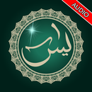 Surat Yasin MP3 Multi Qori-APK