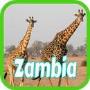 APK Booking Zambia Hotels