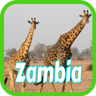 Booking Zambia Hotels icône