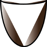 Shield for Clash