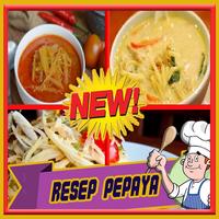 Resep Sayur Pepaya Muda Plakat