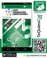 Deportivo Cali: Te Quiero Cali Screenshot 3