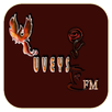 Üveys FM APK