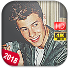 Shawn Mendes Wallpapers HD 4K biểu tượng