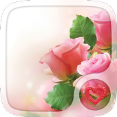 Pink rose Love Wallpapers-icoon