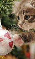 Christmas Animals Wallpapers Affiche