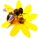 Pesticides Database 2016 APK