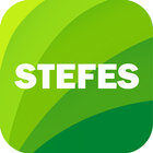 Stefes ikon