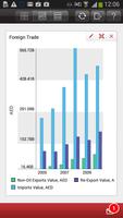 UAE Statistics poster