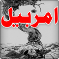 Amar Bail Novel