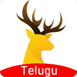 UC News Telugu - క్రికెట్, వీడియో, టాలీవుడ్ アイコン