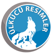 Ülkücü Resimler