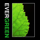 Evergreen Building Systems-icoon